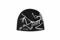 Arcteryx beanie